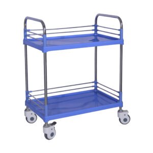 Multi-functional trolley